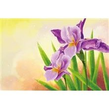 wenskaart Paarse Irissen